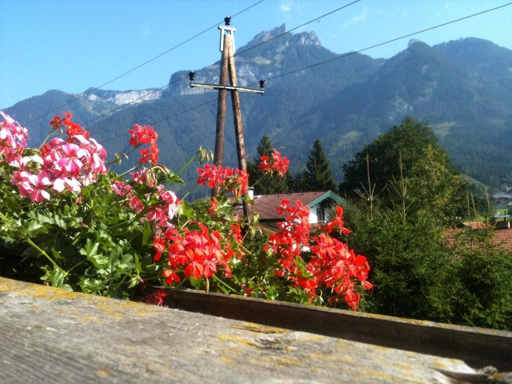 Pension Larchenhof Maurach  Room photo